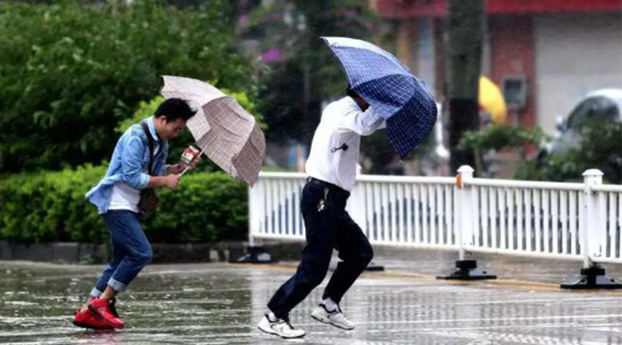 9號臺(tái)風(fēng)“馬鞍”生成！金環(huán)電器提醒大家要注意的事項(xiàng)