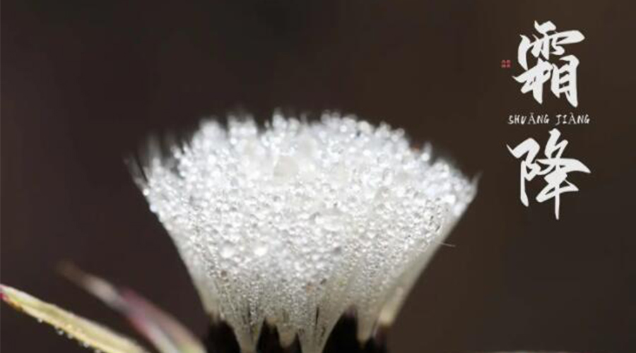 霜降時(shí)節(jié)！金環(huán)電器提醒大家要注意的事項(xiàng)