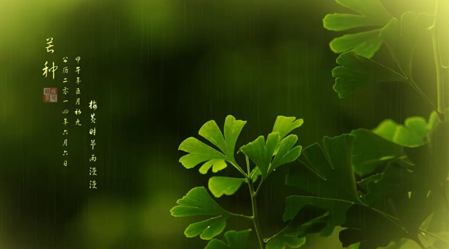 芒種時(shí)節(jié)！金環(huán)電器提醒大家的注意事項(xiàng)