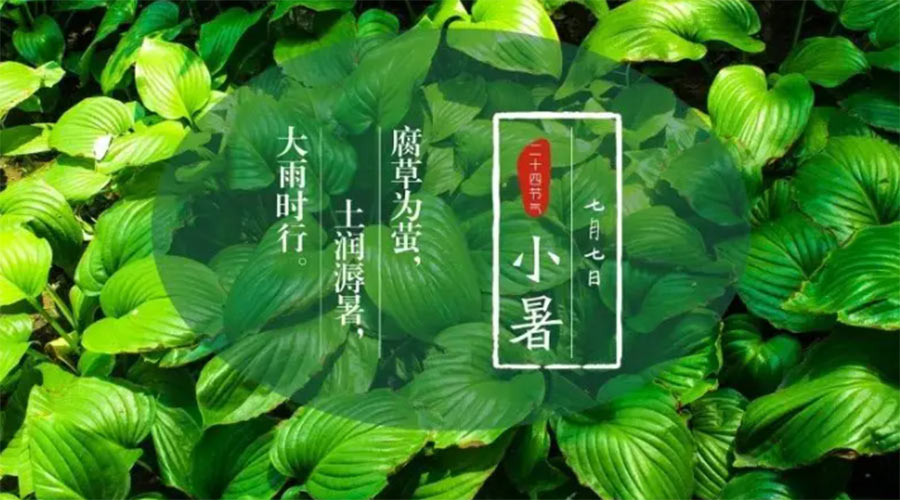 小暑時(shí)節(jié)來到！金環(huán)電器提醒大家要注意的事項(xiàng)