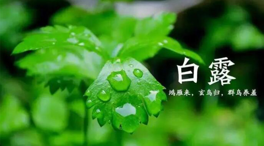 白露時(shí)節(jié)！金環(huán)電器提醒大家要注意的事項(xiàng)