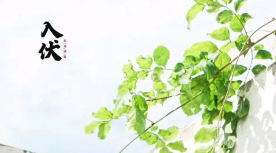 初伏時(shí)節(jié)！金環(huán)電器提醒大家要注意的事項(xiàng)