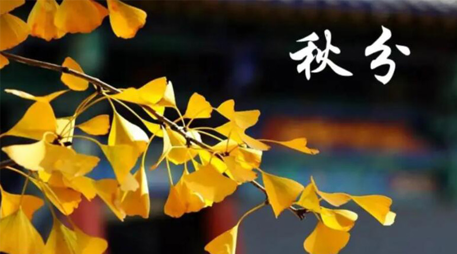 秋分時節(jié)！金環(huán)電器提醒大家要注意的事項