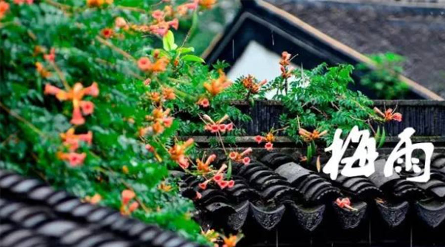 什么是梅雨？梅雨如何形成？  金環(huán)電器告訴你答案